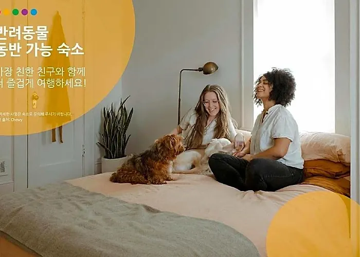 원 홍대 서울특별시